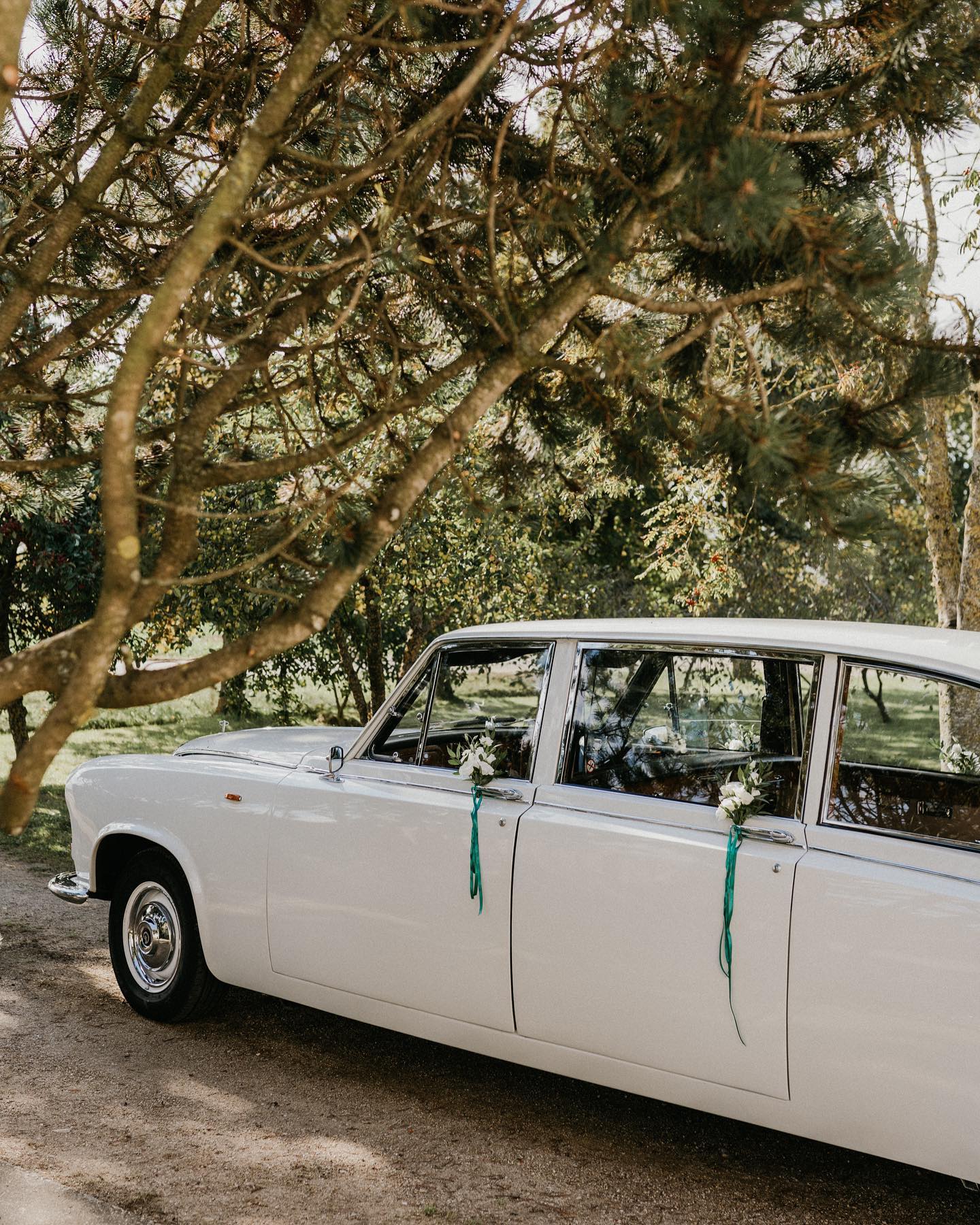 Lucky Limo - Image 2