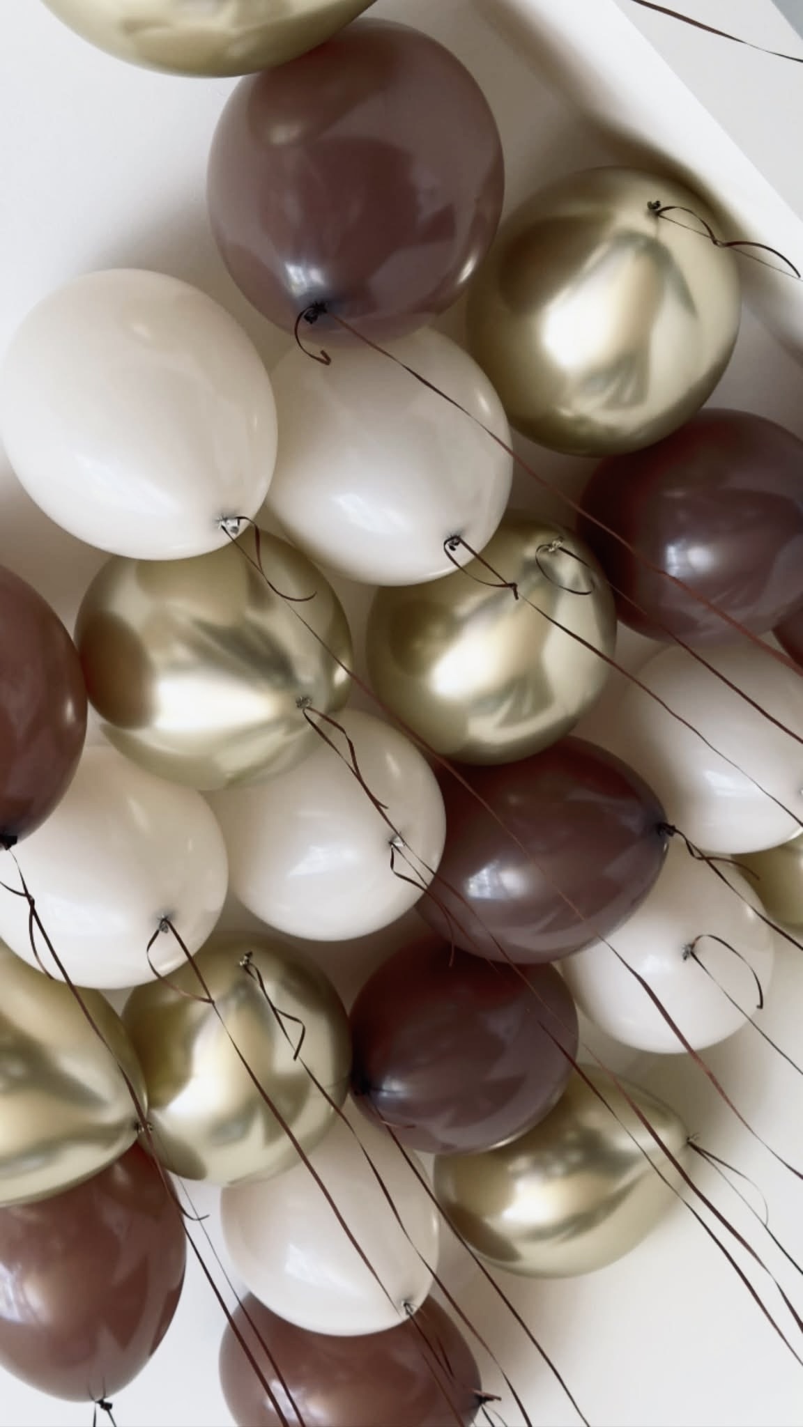Helium balloons - Image 3